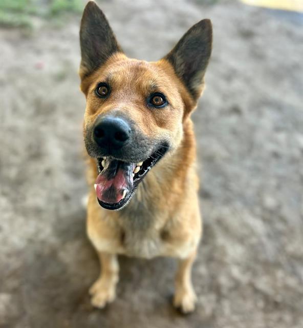 Odin