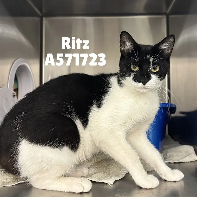 Ritz