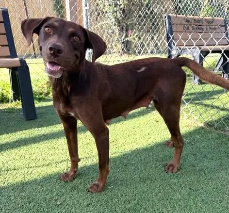 Twix
