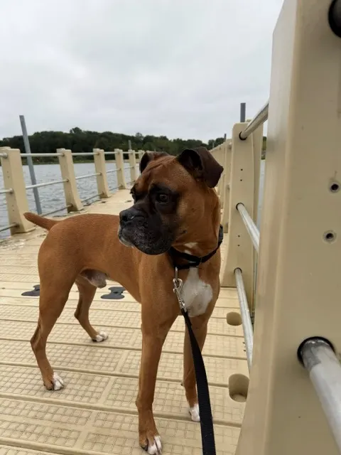 Zeus