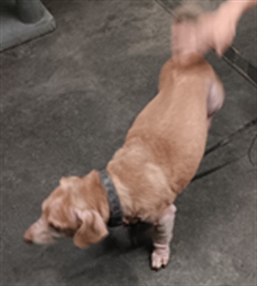 Winnie