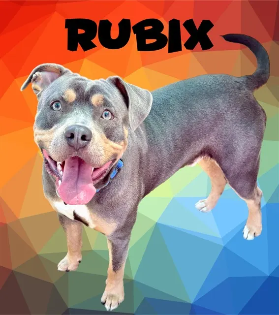 Rubix