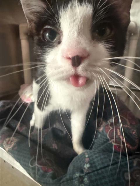 Pearly Mae