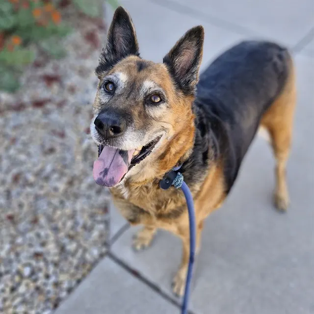 Zoe