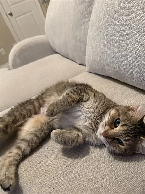 Tigger