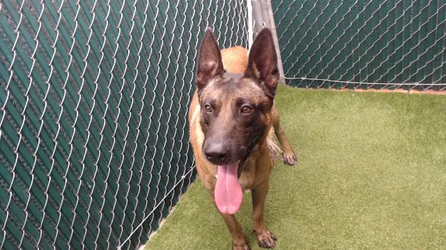 Max