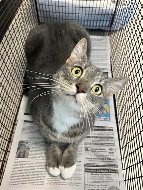 Milo