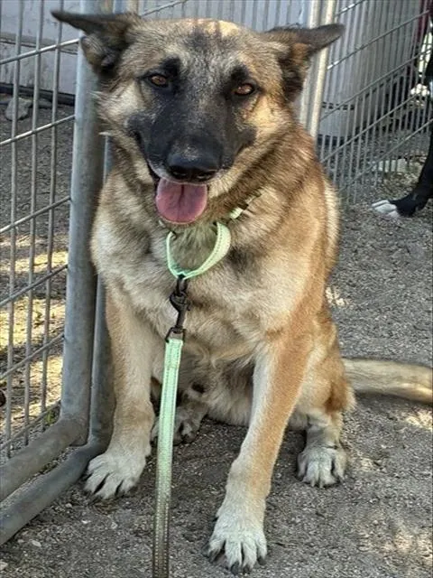 Max