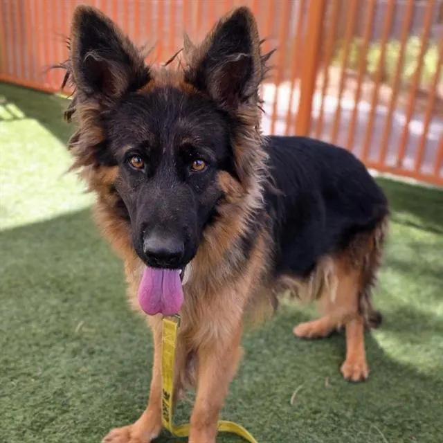 Charlie