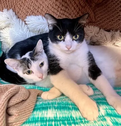 Mateo & Miguel
