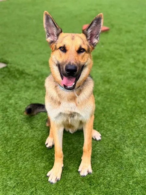 Max