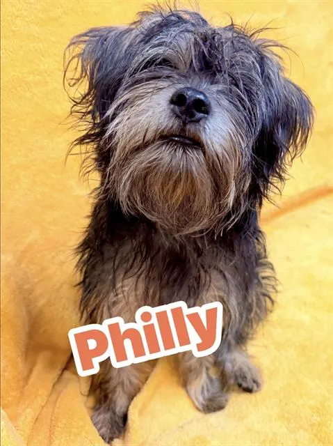 Philly