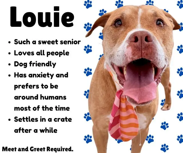 Louie