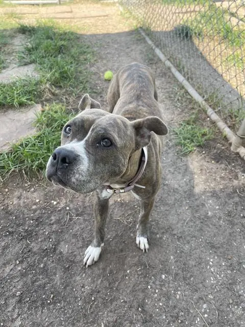 Mimi
