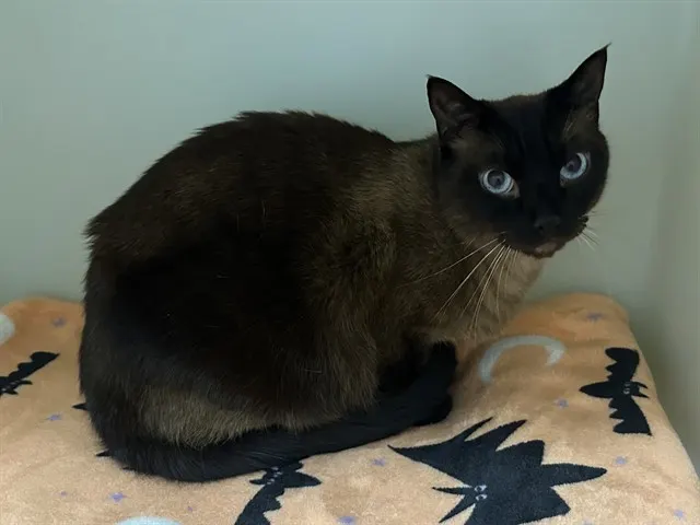 Elwood