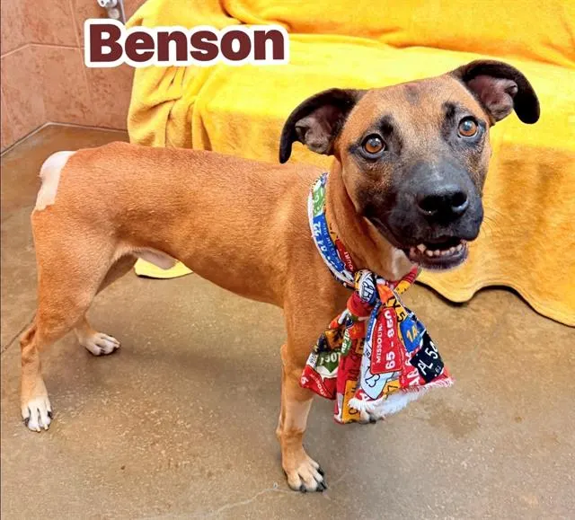 Benson