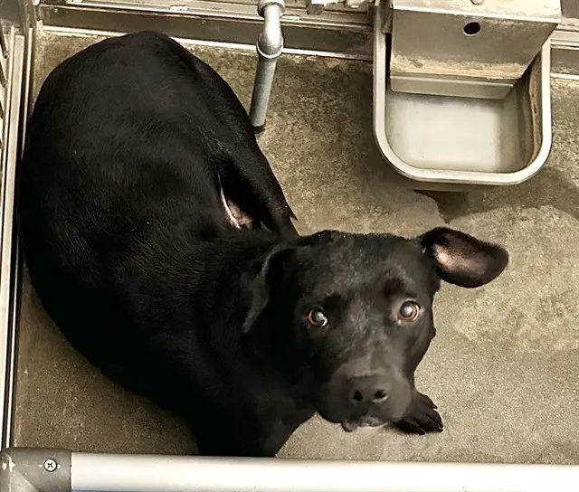 Urgent Sabrina