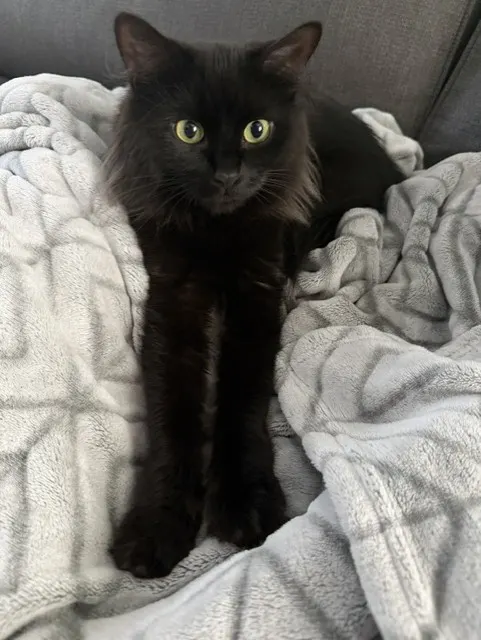 Sabrina
