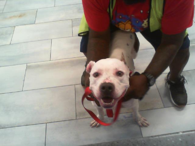 Capone