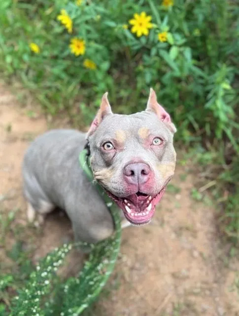 Penny