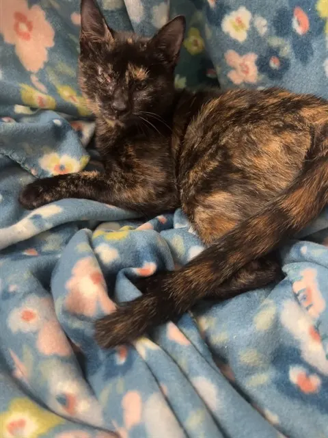 Shelter Staff Named Me *Spice