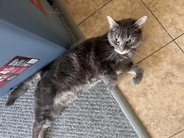 Coco