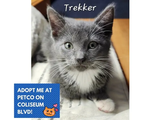 Treker