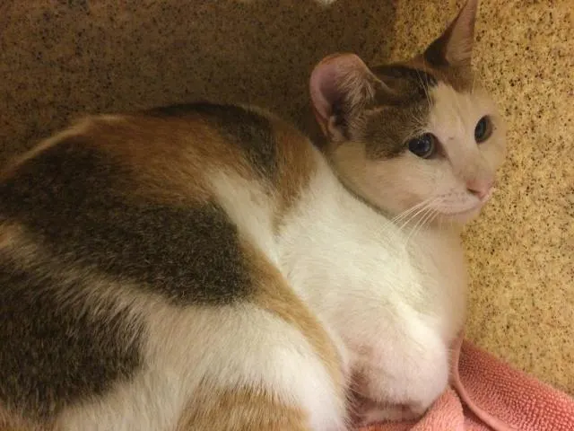 Fiona