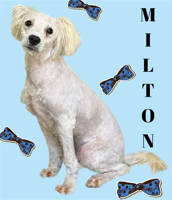 Milton