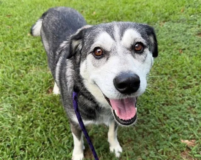 Mya