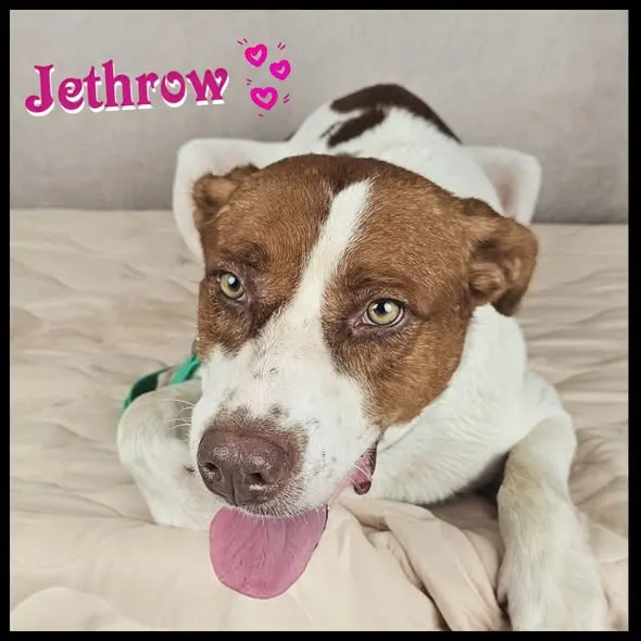 Jethrow