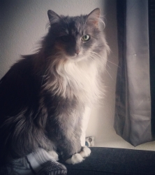 Leeloo