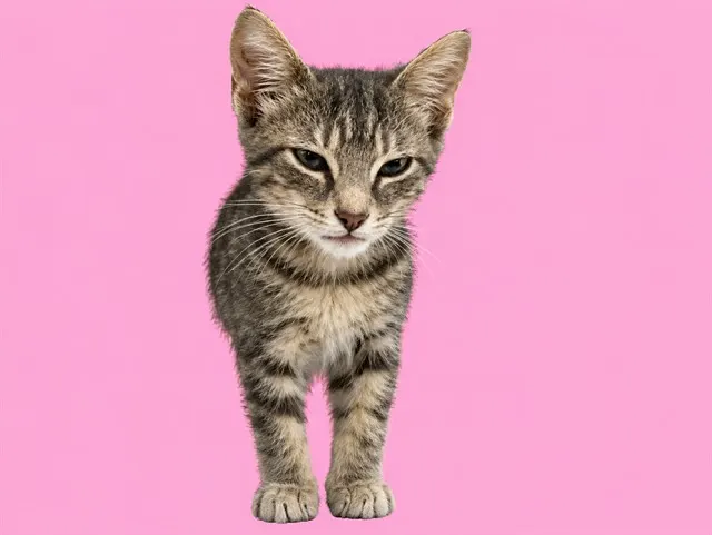 Lenny