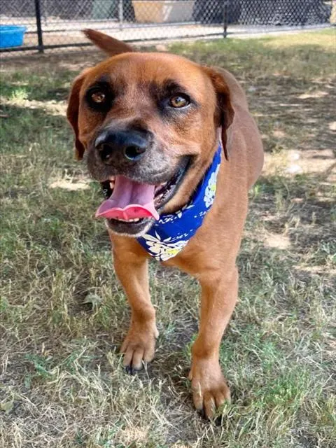 Ellie