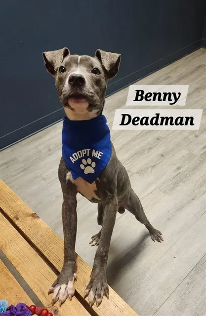 Benny Deadman