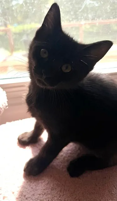 Autumn Mcfluff