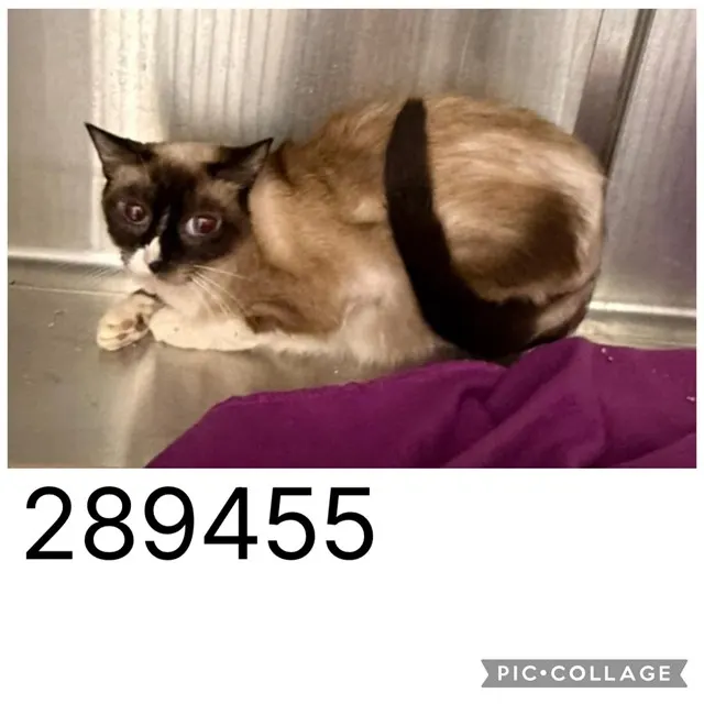 Sam