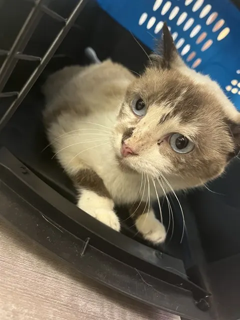 Tuna Turner