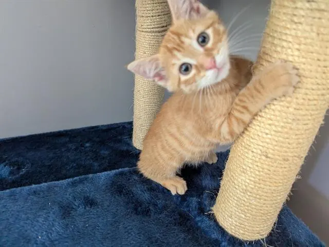Vinny