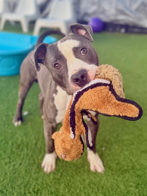Max