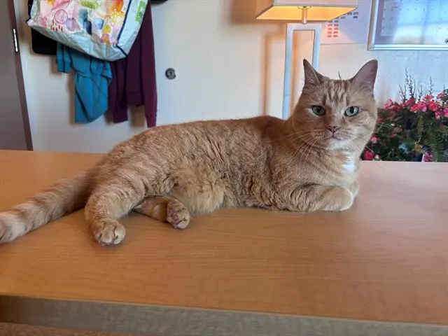 Precious