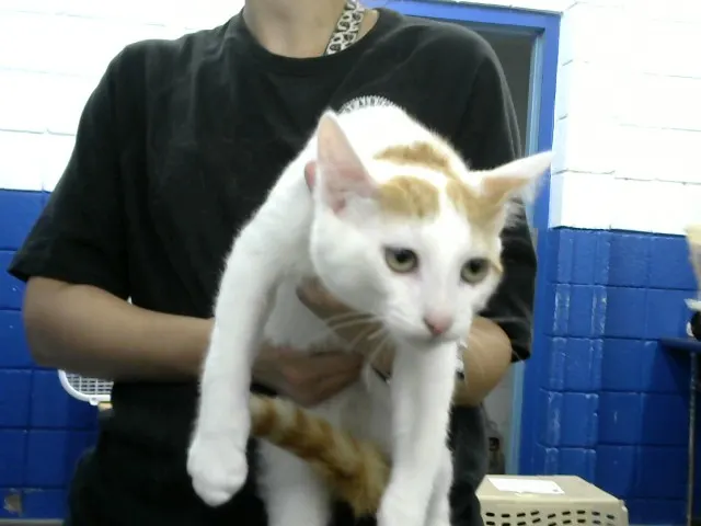 Tom