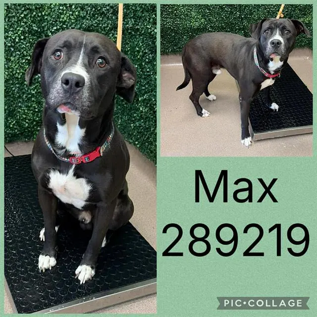 Max
