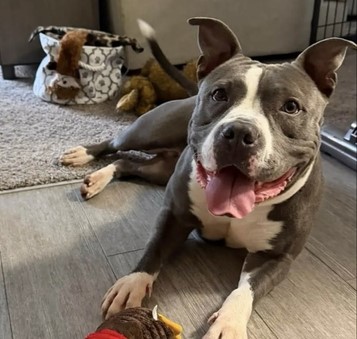 Patty-In Foster