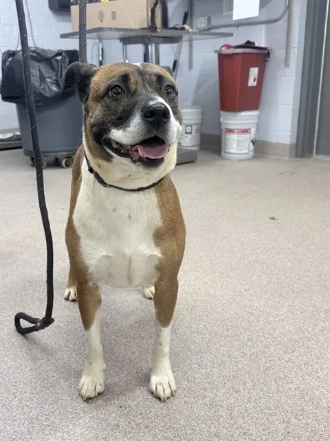 Coco