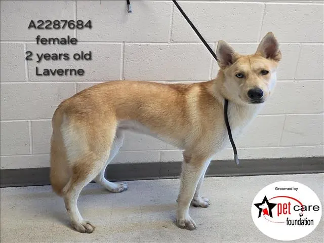 Laverne
