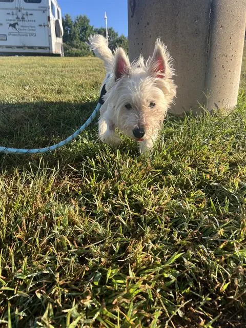 Milo