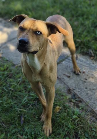 Sam