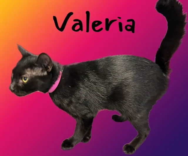 Valeria