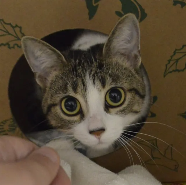 Luna